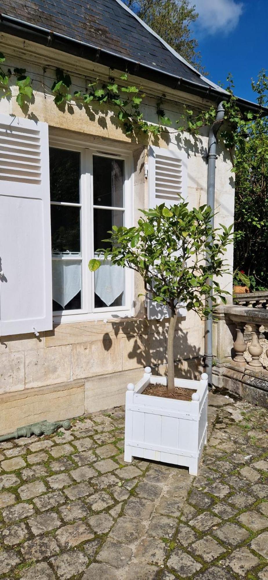 Clos Montcenoux, Au Coeur De Bourges. Appartement Buitenkant foto